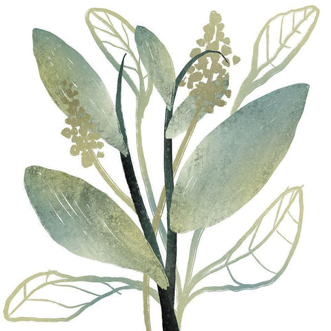 Intertwined Vibrant Foliage 1 Black Modern Wood Framed Art Print by Prime, Marcus