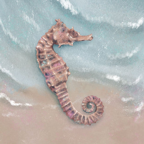 Peaceful Sea Creature White Modern Wood Framed Art Print with Double Matting by Prime, Marcus
