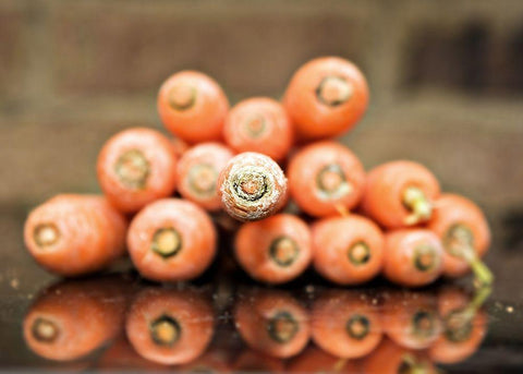 Carrots White Modern Wood Framed Art Print with Double Matting by Reed, Michele