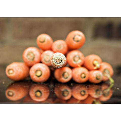 Carrots Black Modern Wood Framed Art Print by Reed, Michele