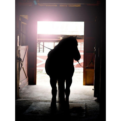 Horse Silhouette Black Modern Wood Framed Art Print with Double Matting by Reed, Michele