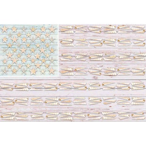 Shells 2 White Modern Wood Framed Art Print by Miller, Savannah