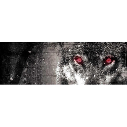 Wolf Eyes Gold Ornate Wood Framed Art Print with Double Matting by Villa, Milli
