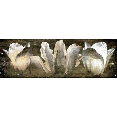 Three Tulips Amber White Modern Wood Framed Art Print by Villa, Mlli