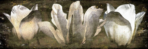 Three Tulips Amber White Modern Wood Framed Art Print with Double Matting by Villa, Mlli