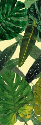 Green Palms White Modern Wood Framed Art Print with Double Matting by Villa, Mlli