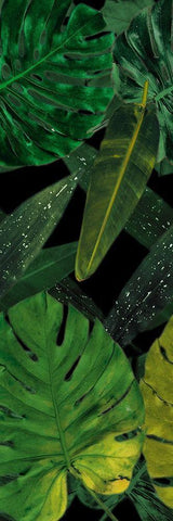 Green Palms Black White Modern Wood Framed Art Print with Double Matting by Villa, Mlli