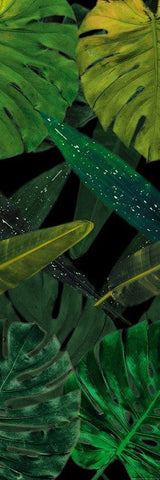 Green Palms Black Mate Black Ornate Wood Framed Art Print with Double Matting by Villa, Mlli