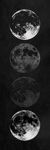 Moon Shade Reverse Black Ornate Wood Framed Art Print with Double Matting by Villa, Mlli