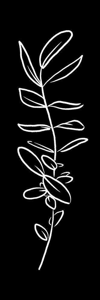 Image Only