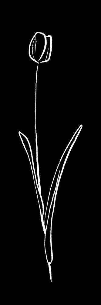 Image Only