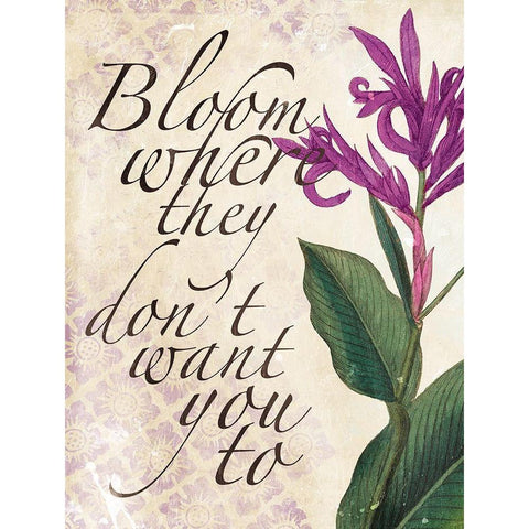 Bloom Black Modern Wood Framed Art Print by Villa, Mlli