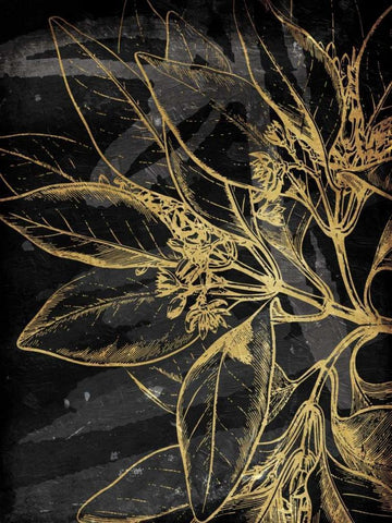 Golden Abstract Floral Mate Black Ornate Wood Framed Art Print with Double Matting by Villa, Milli