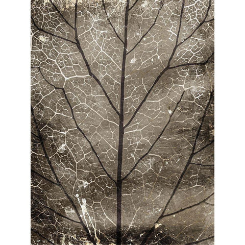 Path Black Modern Wood Framed Art Print by Villa, Milli