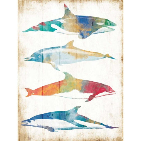 Colorful Sea Life Black Modern Wood Framed Art Print with Double Matting by Villa, Milli