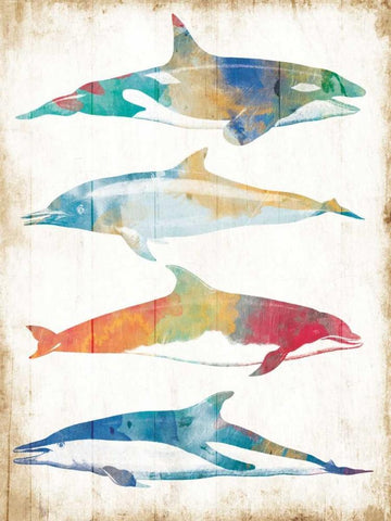 Colorful Sea Life White Modern Wood Framed Art Print with Double Matting by Villa, Milli