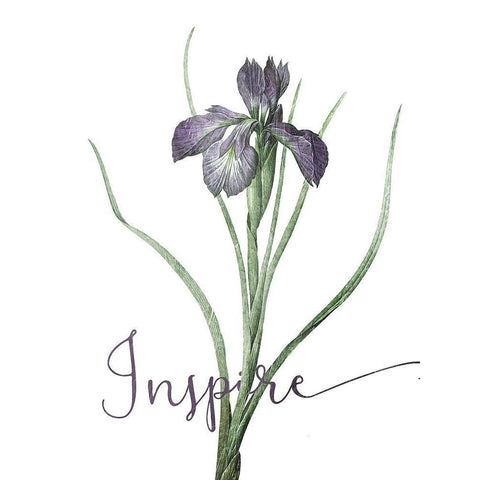 Inspire Black Modern Wood Framed Art Print by Villa, Mlli