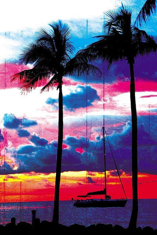 Palm Boating White Modern Wood Framed Art Print with Double Matting by Villa, Mlli