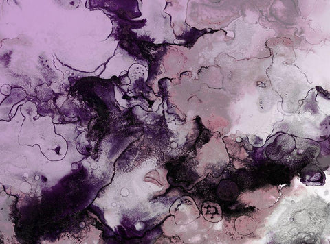 Darker Couds Black Ornate Wood Framed Art Print with Double Matting by Villa, Mlli