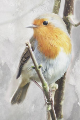 Winter Bird White Modern Wood Framed Art Print with Double Matting by Villa, Mlli