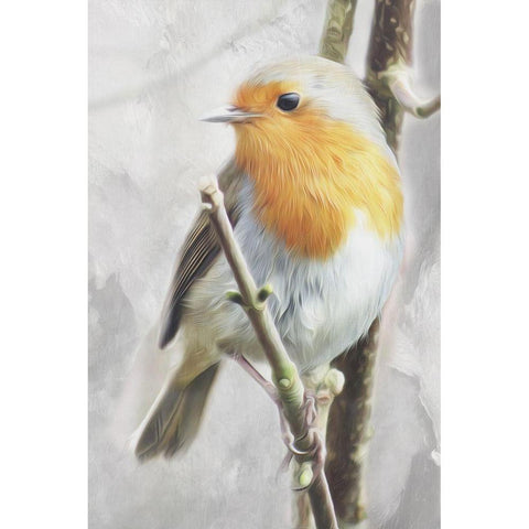 Winter Bird Gold Ornate Wood Framed Art Print with Double Matting by Villa, Mlli