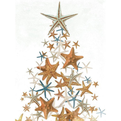 Star Fish Christmas White Modern Wood Framed Art Print by Villa, Mlli