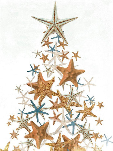 Star Fish Christmas White Modern Wood Framed Art Print with Double Matting by Villa, Mlli