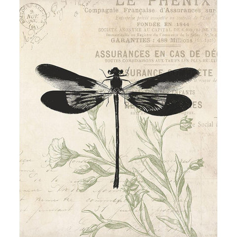 Vintage Insects Black Modern Wood Framed Art Print by Villa, Mlli