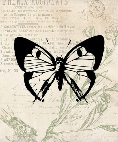 Vintage Insects Two Black Ornate Wood Framed Art Print with Double Matting by Villa, Mlli
