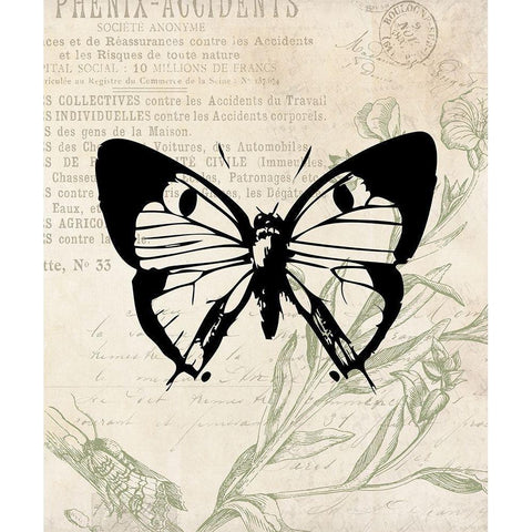 Vintage Insects Two Black Modern Wood Framed Art Print with Double Matting by Villa, Mlli
