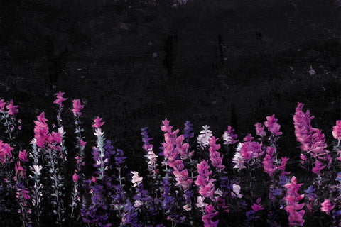 Flowers On The Ground Black Ornate Wood Framed Art Print with Double Matting by Villa, Mlli