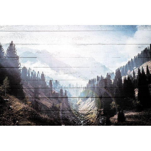 Bright Woods Gold Ornate Wood Framed Art Print with Double Matting by Villa, Mlli