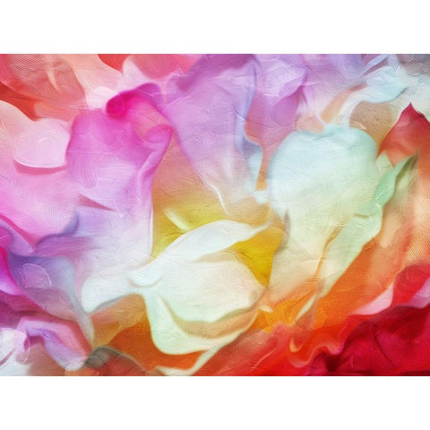 Colorful Blend Black Modern Wood Framed Art Print with Double Matting by Villa, Mlli