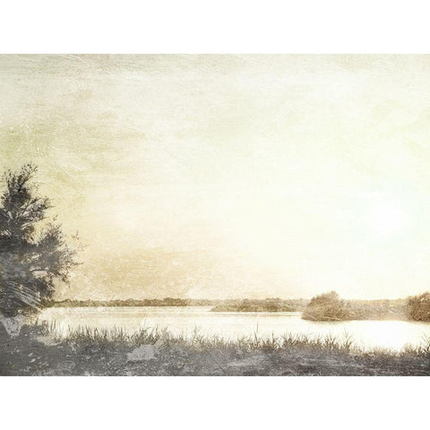 Soft Sun Set Gold Ornate Wood Framed Art Print with Double Matting by Villa, Mlli