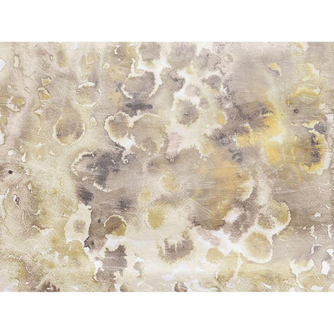 Soft Flower Bursts White Modern Wood Framed Art Print by Villa, Mlli
