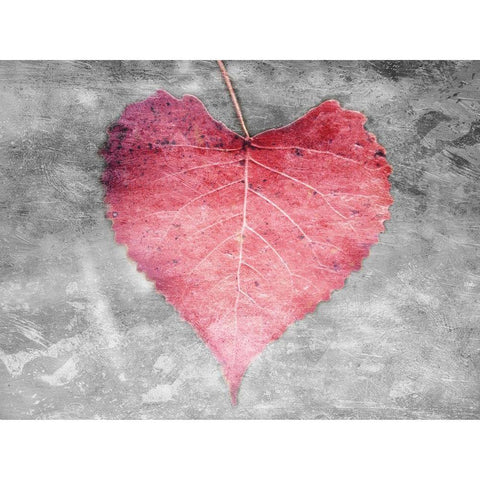 Love Leaves White Modern Wood Framed Art Print by Villa, Mlli
