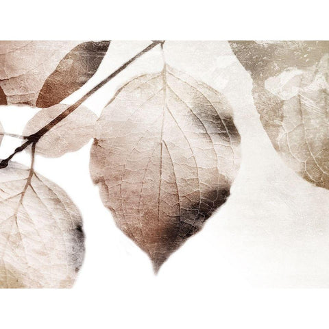 Soft Neutral Leaves Black Modern Wood Framed Art Print with Double Matting by Villa, Mlli