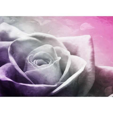 And Look At That Rose Black Modern Wood Framed Art Print with Double Matting by Villa, Mlli