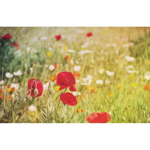 Flowers On The Hill Gold Ornate Wood Framed Art Print with Double Matting by Villa, Mlli