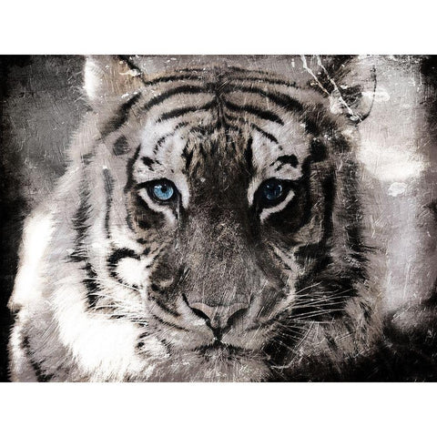 Tiger Look White Modern Wood Framed Art Print by Villa, Mlli