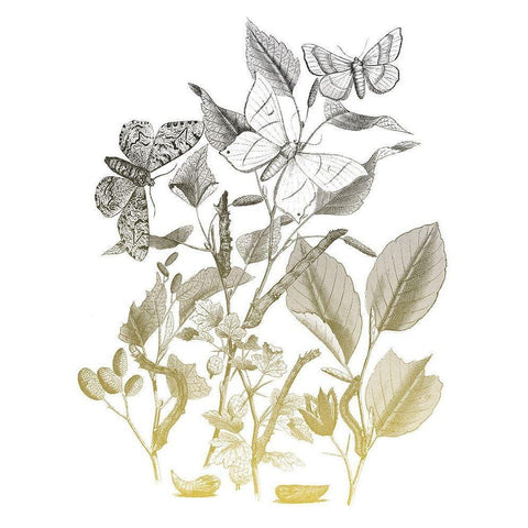 Flower and Bugs A Black Modern Wood Framed Art Print by Villa, Mlli