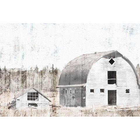 Broken Down White Barn Gold Ornate Wood Framed Art Print with Double Matting by Villa, Mlli