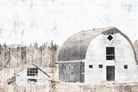 Broken Down White Barn Black Ornate Wood Framed Art Print with Double Matting by Villa, Mlli