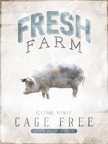 Fresh Farm White Modern Wood Framed Art Print with Double Matting by Villa, Mlli