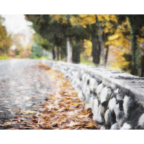 Leaves On The Road White Modern Wood Framed Art Print by Villa, Mlli