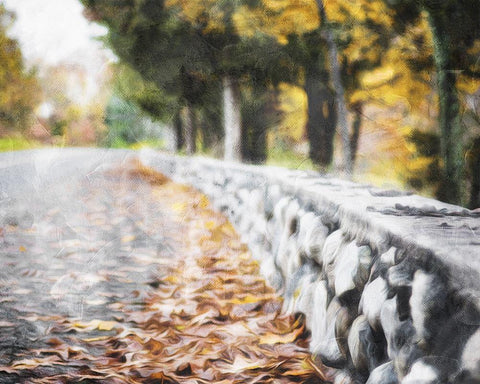 Leaves On The Road Black Ornate Wood Framed Art Print with Double Matting by Villa, Mlli