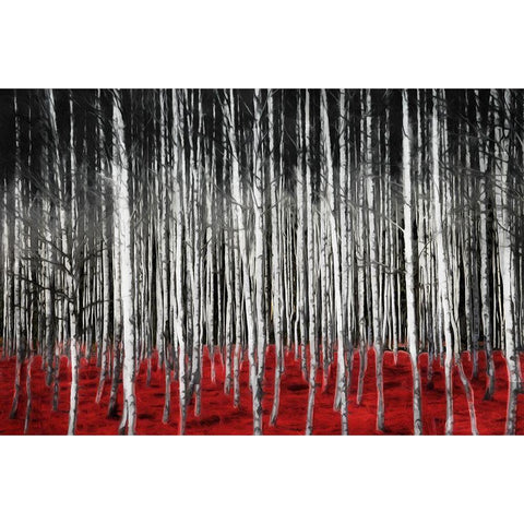 Birch In The Woods At Night Black Modern Wood Framed Art Print with Double Matting by Villa, Mlli