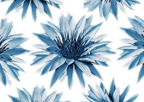 Hypnotizing Flowers White Modern Wood Framed Art Print with Double Matting by Villa, Mlli