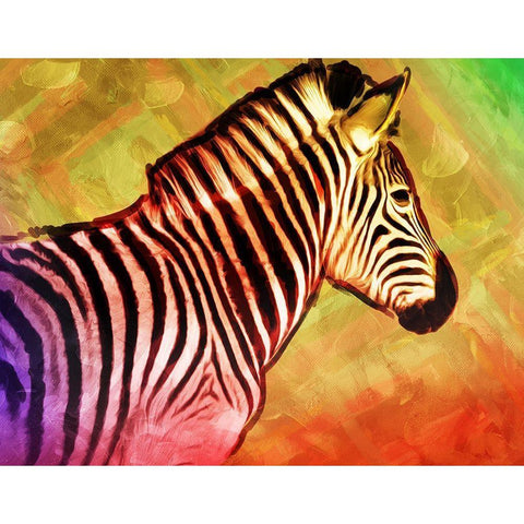 Bright Zebra Black Modern Wood Framed Art Print with Double Matting by Villa, Mlli