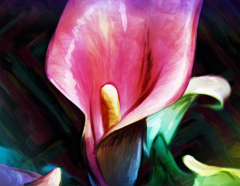 Bright Calla Lilies White Modern Wood Framed Art Print with Double Matting by Villa, Mlli